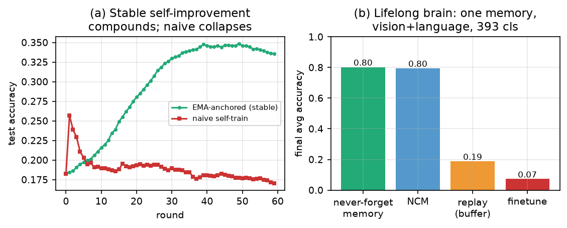 The lifelong brain. (a) In this run, an EMA-anchored trainable representation rises from about $0.18$ to a peak near $0.35$, then plateaus and declines modestly; improvement is not monotonic. Naive self-training peaks and collapses back toward chance. (b) One closed-form pooled memory ingests an interleaved vision+language stream ($393$ classes, two frozen encoders) task-free: near-zero measured forgetting (final average $0.80$), matching NCM and exceeding the tested buffered replay ($0.19$) and sequential finetuning ($0.07$). Historical graphical shorthand does not imply a universal retention guarantee.
