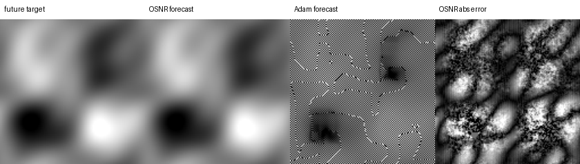 Scaled $128^2$ Navier--Stokes weak-form discovery. OSNR identifies the exact advection--diffusion vorticity operator and forecasts the held-out future from the recovered coefficients, while the gradient-optimized sparse regression admits many decoys.